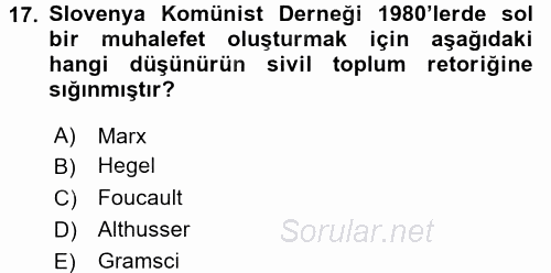 Sosyolojide Yakın Dönem Gelişmeler 2015 - 2016 Tek Ders Sınavı 17.Soru