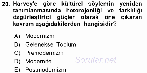 Sosyolojide Yakın Dönem Gelişmeler 2015 - 2016 Tek Ders Sınavı 20.Soru