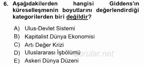 Sosyolojide Yakın Dönem Gelişmeler 2015 - 2016 Tek Ders Sınavı 6.Soru