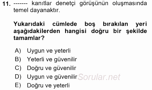 Muhasebe Denetimi ve Mali Analiz 2017 - 2018 Ara Sınavı 11.Soru