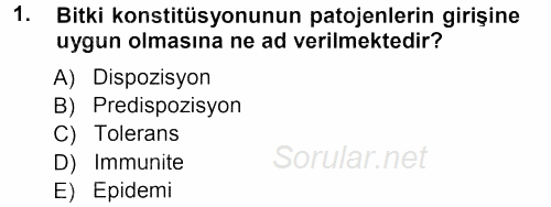 Fitopatoloji 2012 - 2013 Ara Sınavı 1.Soru