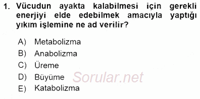 İnsan Anatomisi Ve Fizyolojisi 2015 - 2016 Dönem Sonu Sınavı 1.Soru