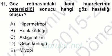 İnsan Anatomisi Ve Fizyolojisi 2015 - 2016 Dönem Sonu Sınavı 11.Soru