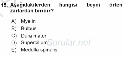 İnsan Anatomisi Ve Fizyolojisi 2015 - 2016 Dönem Sonu Sınavı 15.Soru