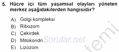 İnsan Anatomisi Ve Fizyolojisi 2015 - 2016 Dönem Sonu Sınavı 5.Soru