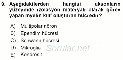 İnsan Anatomisi Ve Fizyolojisi 2015 - 2016 Dönem Sonu Sınavı 9.Soru