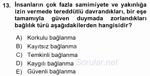 Aile İçi Uyumlu Etkileşim 2015 - 2016 Ara Sınavı 13.Soru