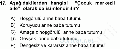 Aile İçi Uyumlu Etkileşim 2015 - 2016 Ara Sınavı 17.Soru
