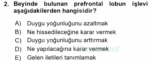 Etkili İletişim Teknikleri 2017 - 2018 Ara Sınavı 2.Soru