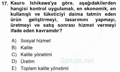Sosyal Hizmet Yönetimi 2016 - 2017 Ara Sınavı 17.Soru