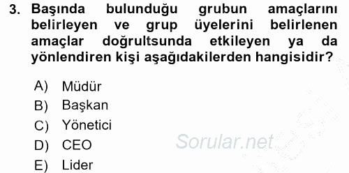 Sosyal Hizmet Yönetimi 2016 - 2017 Ara Sınavı 3.Soru