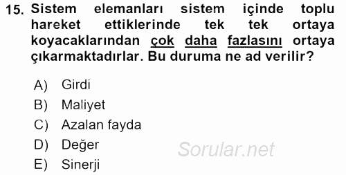 İşletme Fonksiyonları 2017 - 2018 Ara Sınavı 15.Soru