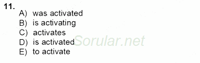 Pedagojik Gramer 1 2012 - 2013 Ara Sınavı 11.Soru