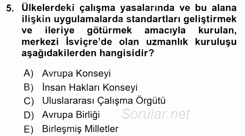 Uluslararası Sosyal Politika 2015 - 2016 Ara Sınavı 5.Soru