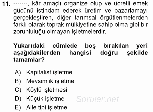 Kent Sosyolojisi 2017 - 2018 3 Ders Sınavı 11.Soru