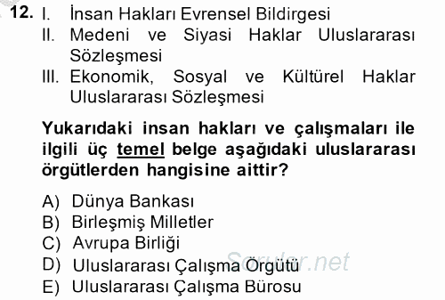 Uluslararası Sosyal Politika 2014 - 2015 Dönem Sonu Sınavı 12.Soru