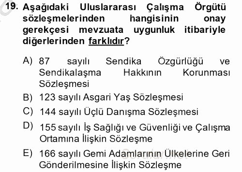 Uluslararası Sosyal Politika 2014 - 2015 Dönem Sonu Sınavı 19.Soru