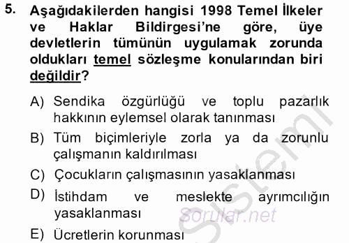 Uluslararası Sosyal Politika 2014 - 2015 Dönem Sonu Sınavı 5.Soru