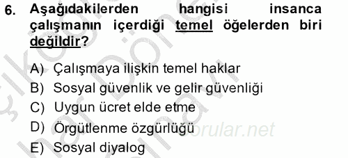 Uluslararası Sosyal Politika 2014 - 2015 Dönem Sonu Sınavı 6.Soru