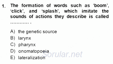 Dilbilim 1 2014 - 2015 Ara Sınavı 1.Soru