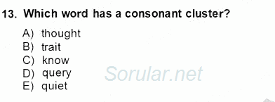 Dilbilim 1 2014 - 2015 Ara Sınavı 13.Soru