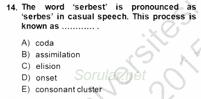 Dilbilim 1 2014 - 2015 Ara Sınavı 14.Soru