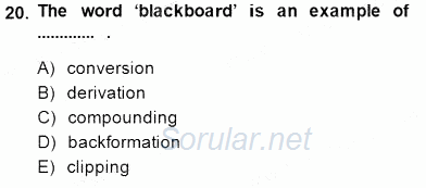 Dilbilim 1 2014 - 2015 Ara Sınavı 20.Soru