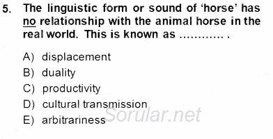 Dilbilim 1 2014 - 2015 Ara Sınavı 5.Soru