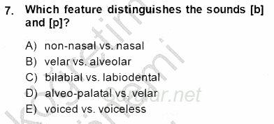 Dilbilim 1 2014 - 2015 Ara Sınavı 7.Soru
