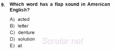 Dilbilim 1 2014 - 2015 Ara Sınavı 9.Soru