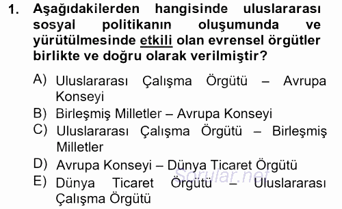 Uluslararası Sosyal Politika 2012 - 2013 Ara Sınavı 1.Soru