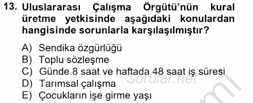 Uluslararası Sosyal Politika 2012 - 2013 Ara Sınavı 13.Soru