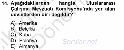 Uluslararası Sosyal Politika 2012 - 2013 Ara Sınavı 14.Soru