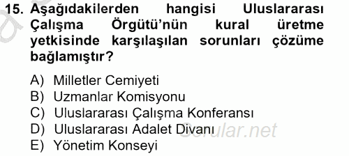 Uluslararası Sosyal Politika 2012 - 2013 Ara Sınavı 15.Soru