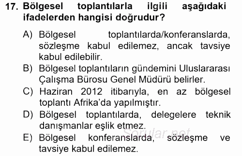 Uluslararası Sosyal Politika 2012 - 2013 Ara Sınavı 17.Soru