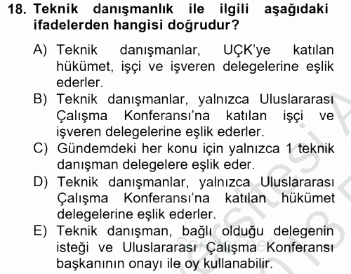 Uluslararası Sosyal Politika 2012 - 2013 Ara Sınavı 18.Soru