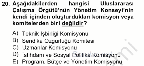 Uluslararası Sosyal Politika 2012 - 2013 Ara Sınavı 20.Soru