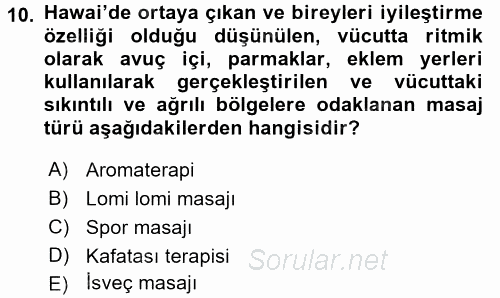 Termal ve Spa Hizmetleri 2016 - 2017 3 Ders Sınavı 10.Soru