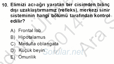 Çocuk Ruh Sağlığı 2014 - 2015 Ara Sınavı 10.Soru
