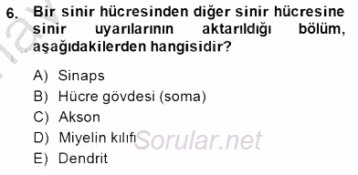 Çocuk Ruh Sağlığı 2014 - 2015 Ara Sınavı 6.Soru