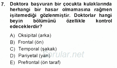 Çocuk Ruh Sağlığı 2014 - 2015 Ara Sınavı 7.Soru