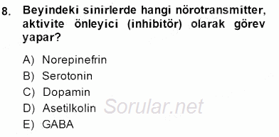 Çocuk Ruh Sağlığı 2014 - 2015 Ara Sınavı 8.Soru