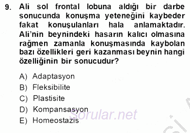 Çocuk Ruh Sağlığı 2014 - 2015 Ara Sınavı 9.Soru