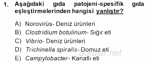Gıda Güvenliğinin Temel Prensipleri 2013 - 2014 Dönem Sonu Sınavı 1.Soru