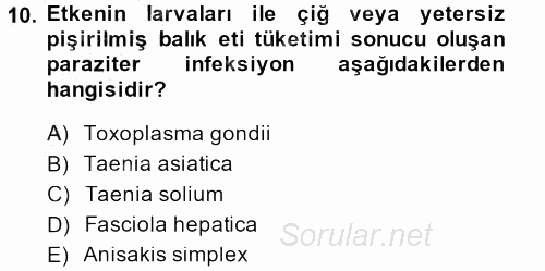 Gıda Güvenliğinin Temel Prensipleri 2013 - 2014 Dönem Sonu Sınavı 10.Soru