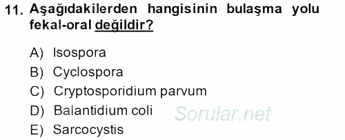 Gıda Güvenliğinin Temel Prensipleri 2013 - 2014 Dönem Sonu Sınavı 11.Soru