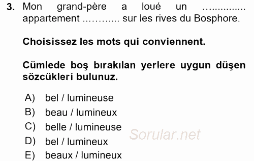 Fransızca 2 2015 - 2016 Tek Ders Sınavı 3.Soru