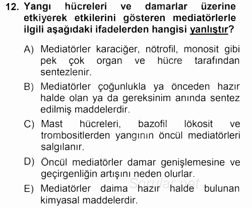 Temel Veteriner Patoloji 2012 - 2013 Dönem Sonu Sınavı 12.Soru