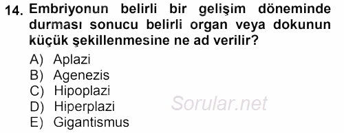 Temel Veteriner Patoloji 2012 - 2013 Dönem Sonu Sınavı 14.Soru