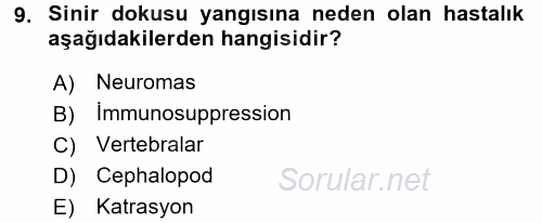 Hayvan Davranışları ve Refahı 2016 - 2017 Dönem Sonu Sınavı 9.Soru